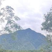 BỮ