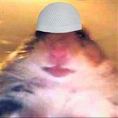 IP