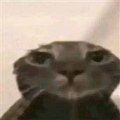 Ch