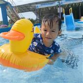 Vận 