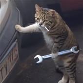 Be