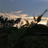 Lị