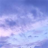Tr
