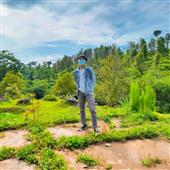 Mẹo 