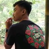 Cung