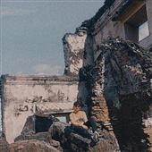 Luật