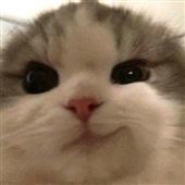 Ng