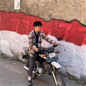 Gi
