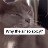 Is