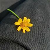 Nh
