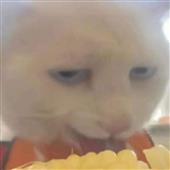 Se