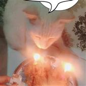 vò