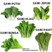 Tộ