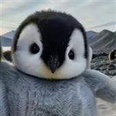 Qu