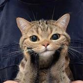 We