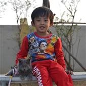 Se