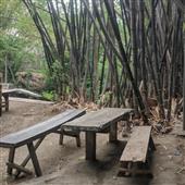 Chỉ 