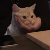 Đê
