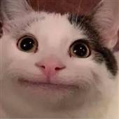 Cách