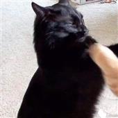 Th