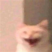 Ap