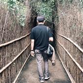 Vậ
