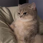Big 