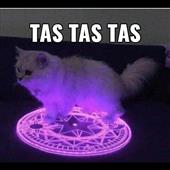 Tran
