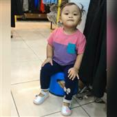 Gấ