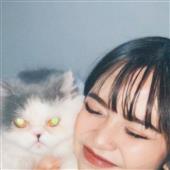 TỨ