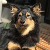 Câu 