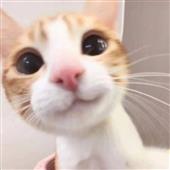 Cl