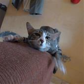 th