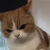 Sò