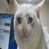 Má