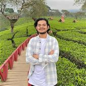 Vịnh