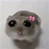 Bóng