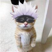Kèo 