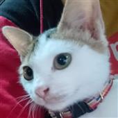 Jo