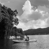 Tỷ