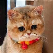 Lu