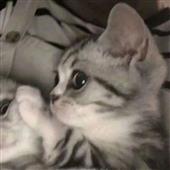 On