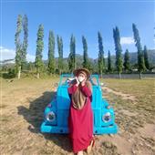 Cung