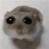 Cư