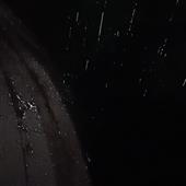 Vu