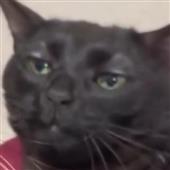 Te