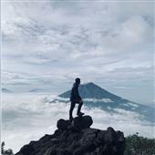 Gián