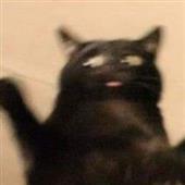 Tr