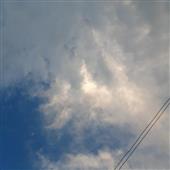 VE