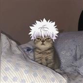 Ch